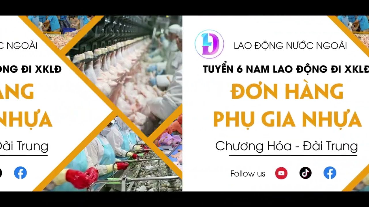 Đơn hàng xklđ đài loan - Hướng dẫn và Kinh nghiệm thực tế