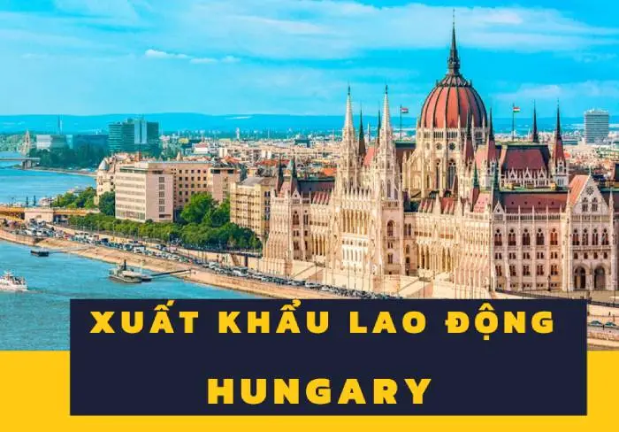 don hang xkld hungary 67a2114066c7c