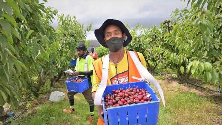 Kinh nghiệm xuất khẩu lao động tại Hy Lạp: Hướng dẫn toàn diện