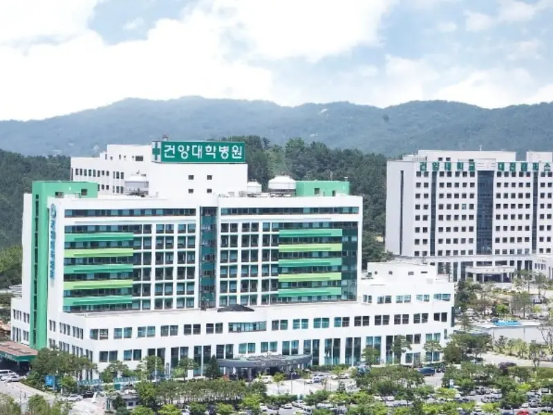 Chương trình học tại các trường đại học Hàn Quốc: Tổng quan và lựa chọn phù hợp