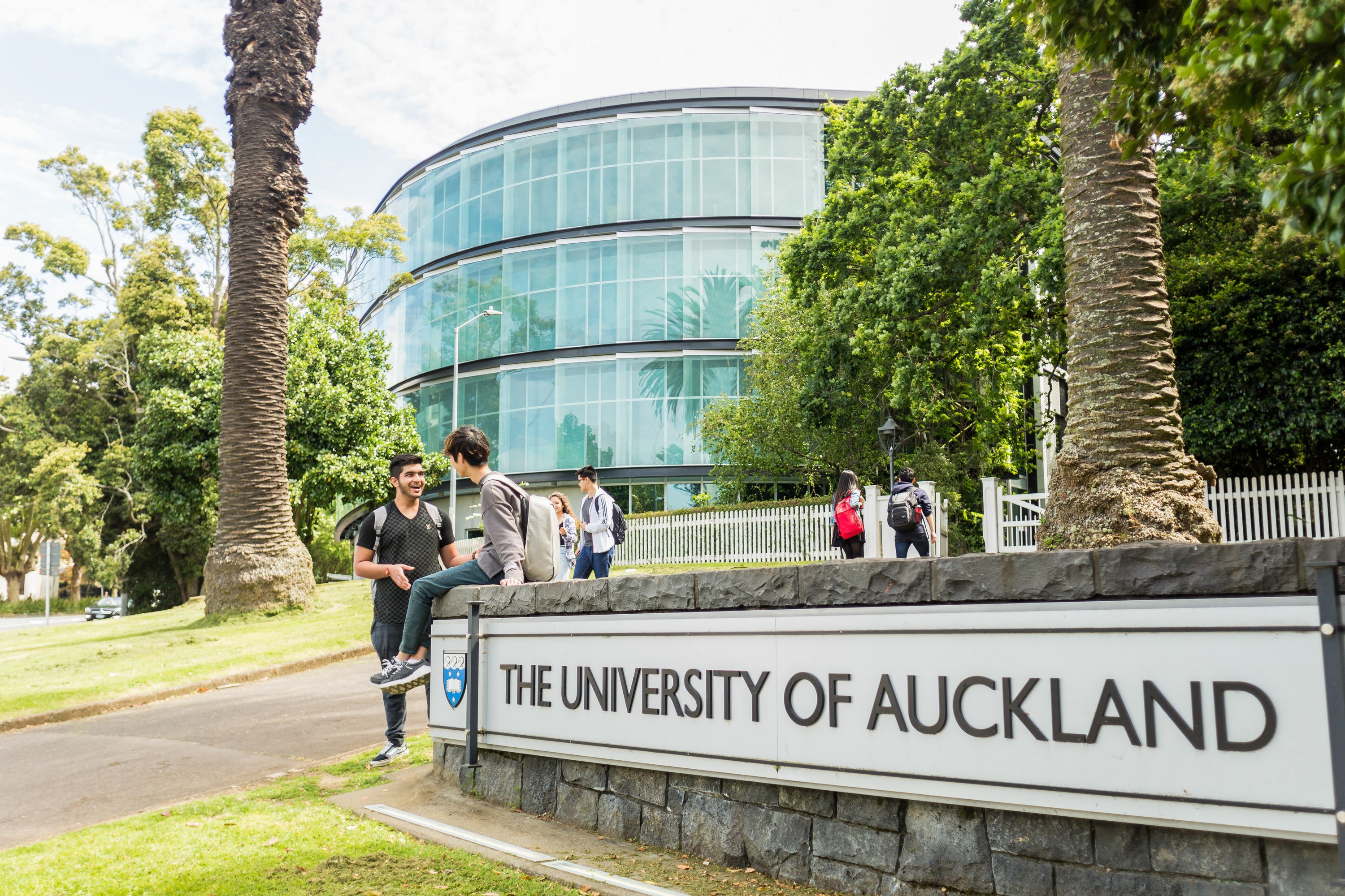Du Học NEW ZEALAND: Cơ Hội, Thách Thức và Kinh Nghiệm Thành Công