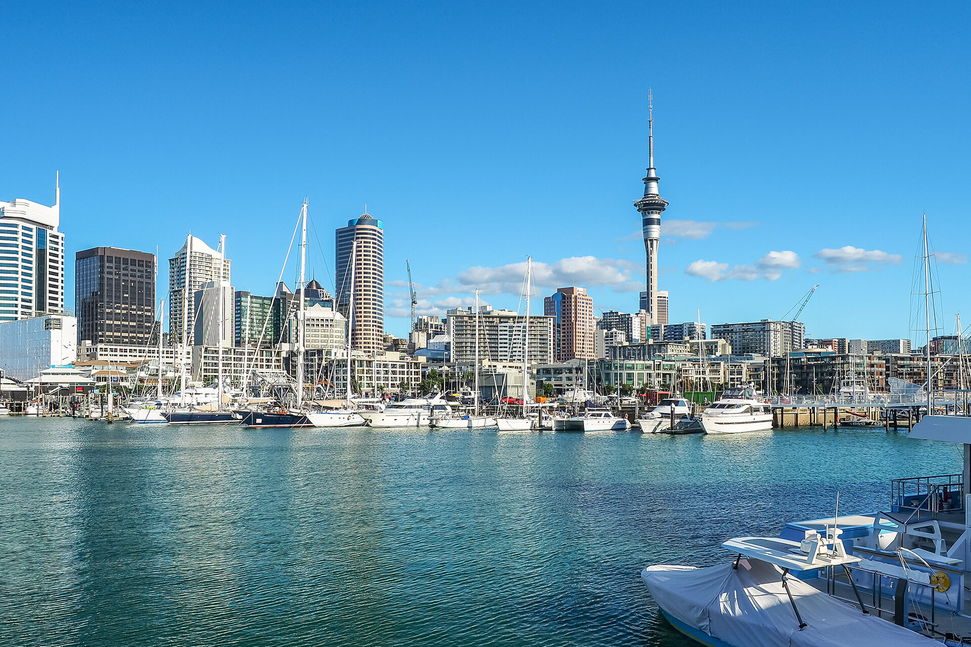 Du Học NEW ZEALAND: Cơ Hội, Thách Thức và Kinh Nghiệm Thành Công