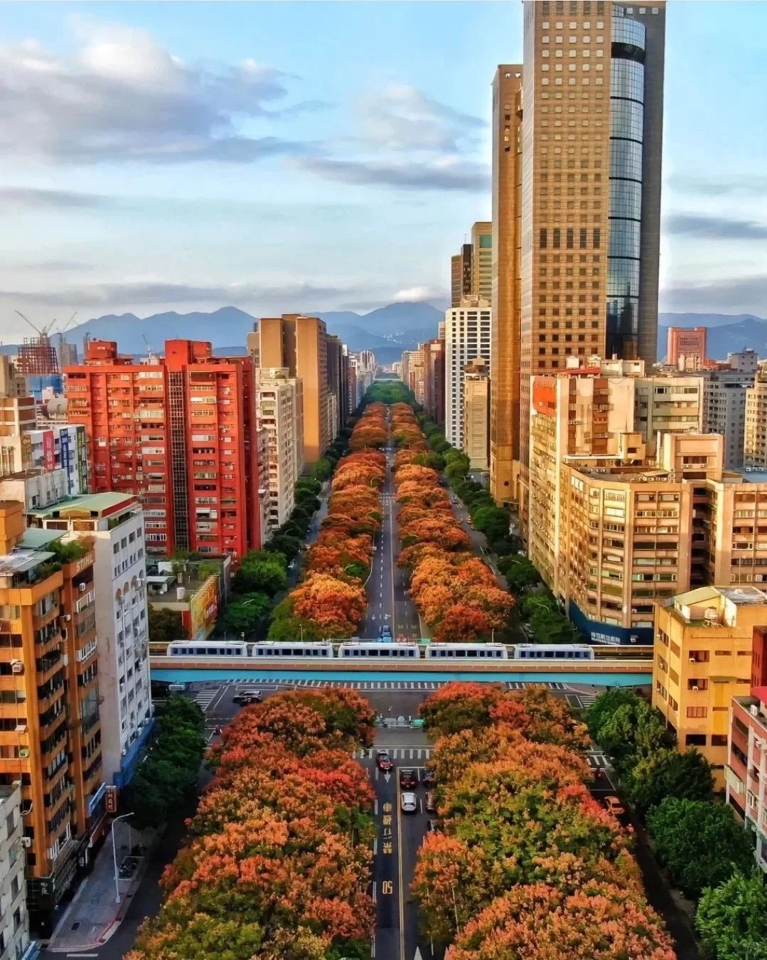 Các hệ du học tại Đài Loan: Tổng quan và lợi ích