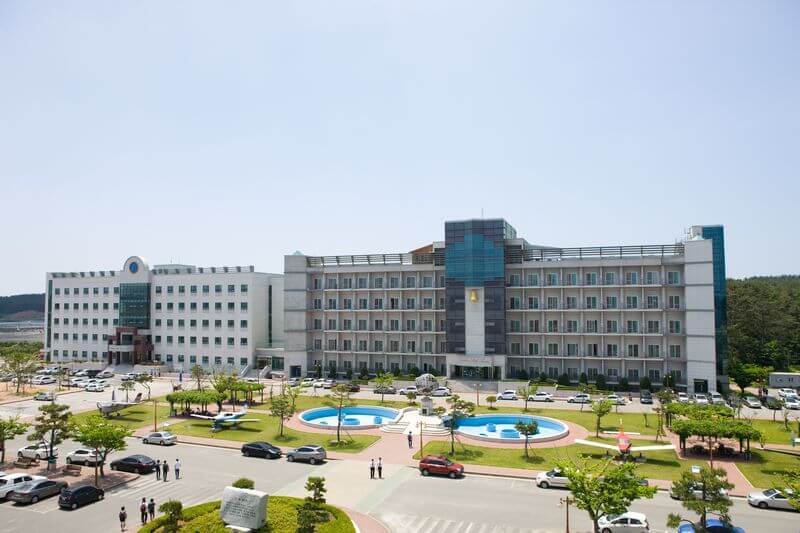 Khám phá Cơ hội Vàng - Du học hệ Cao đẳng tại Hàn Quốc (Visa D2-1) và Những Điều Cần Biết